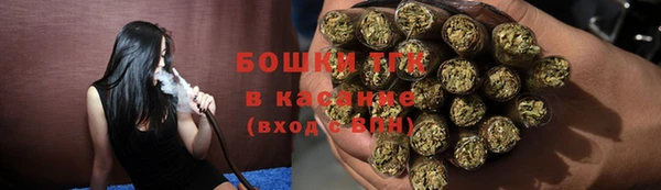 сатива Богородск