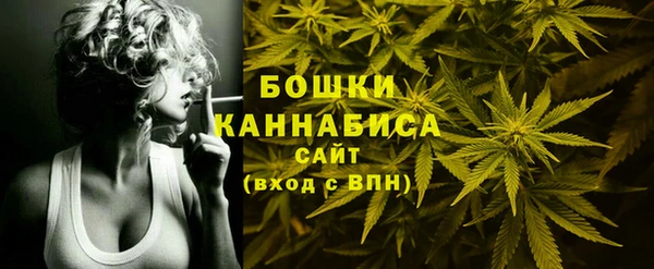 сатива Богородск